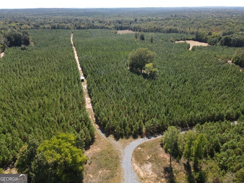 Photo of 9390 Hopewell Rd, Lizella, GA 31052 (MLS # 10842233)