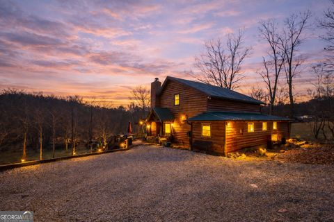 28 Wood Lane Blue Ridge GA 30513