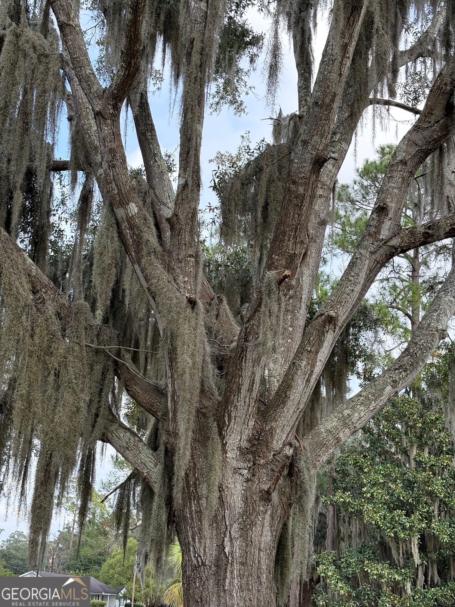 601 Fort King George DR