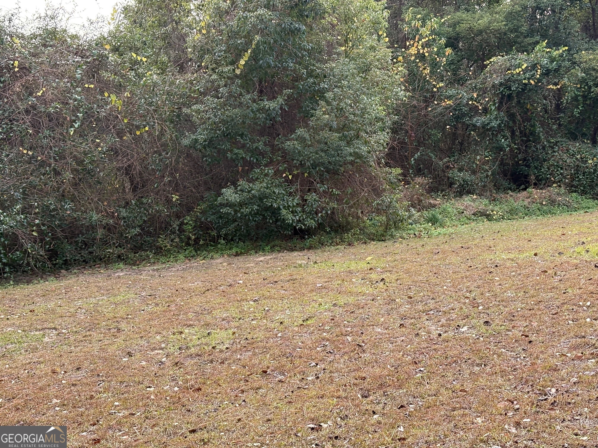 601 Fort King George DR