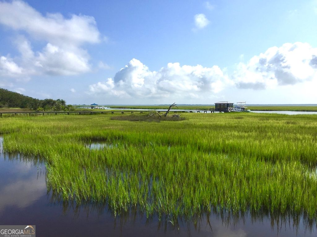 Photo of 120 Carousers Cove, Saint Marys, GA 31558 (MLS # 10691007)