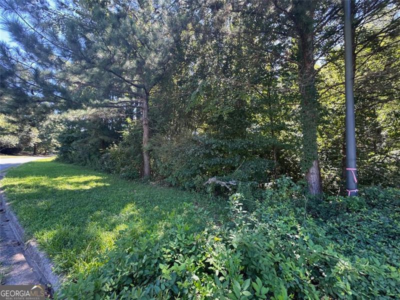 .54 acre undeveloped residential lot in Hickory Branch subdivision in Acworth, GA! Neighborhood is on septic. Lot next door is also being sold and is .76 acres. 91 Hickory Creek Lane. Total acreage would be 1.3 acres.