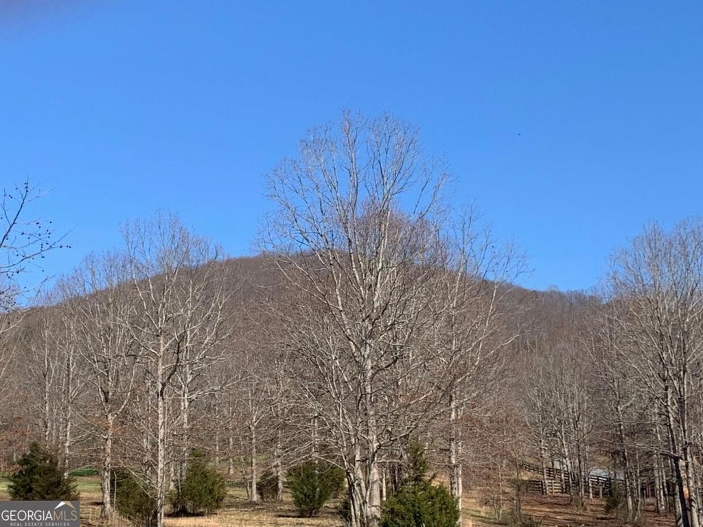 Photo of 24 Long Mountain Trail, Cleveland, GA 30528 (MLS # 10709906)