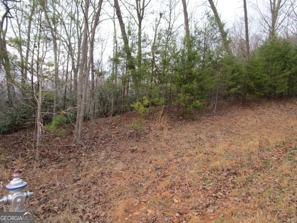 LOT 24 Long Mountain TRL