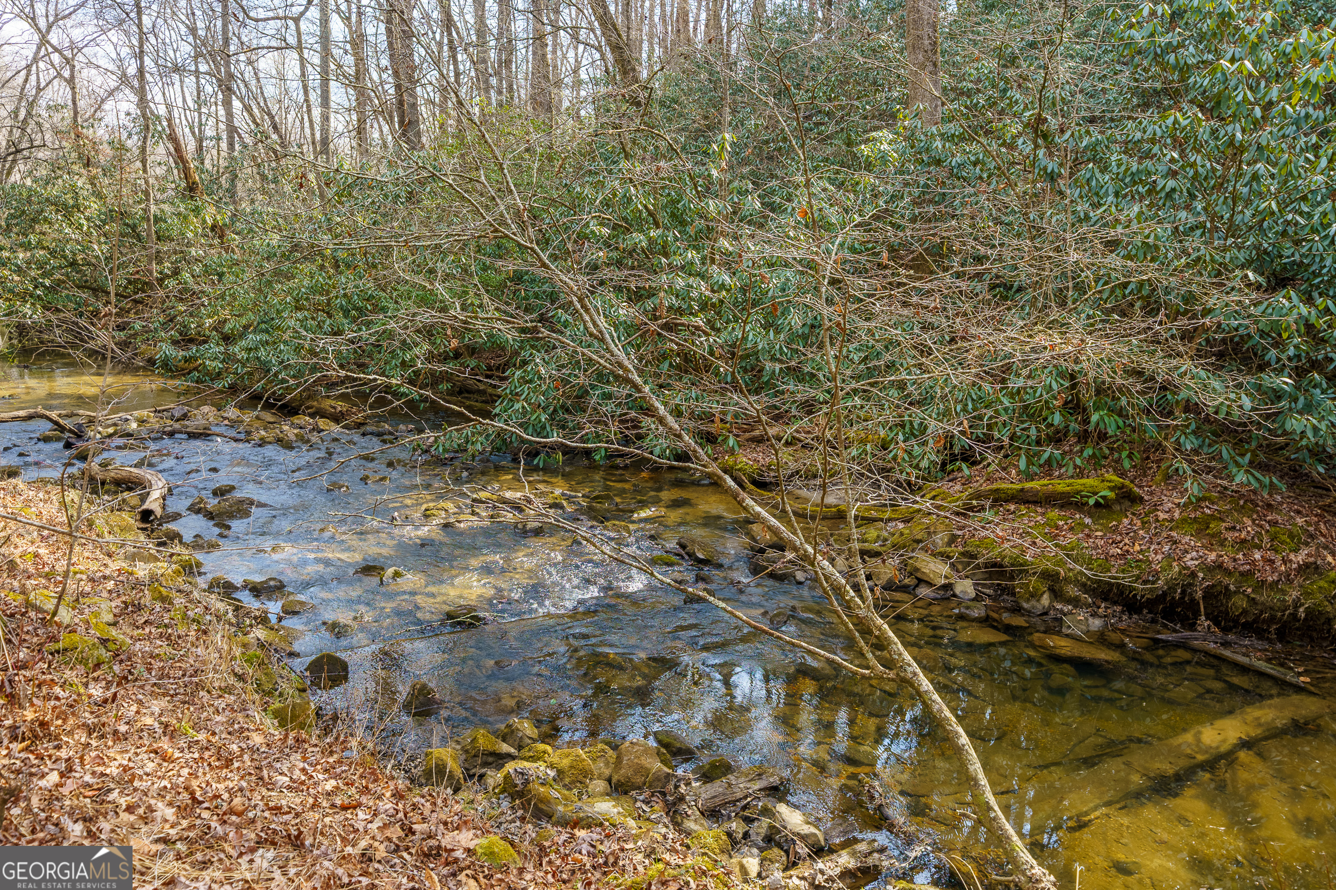 577 Macedonia Church RD