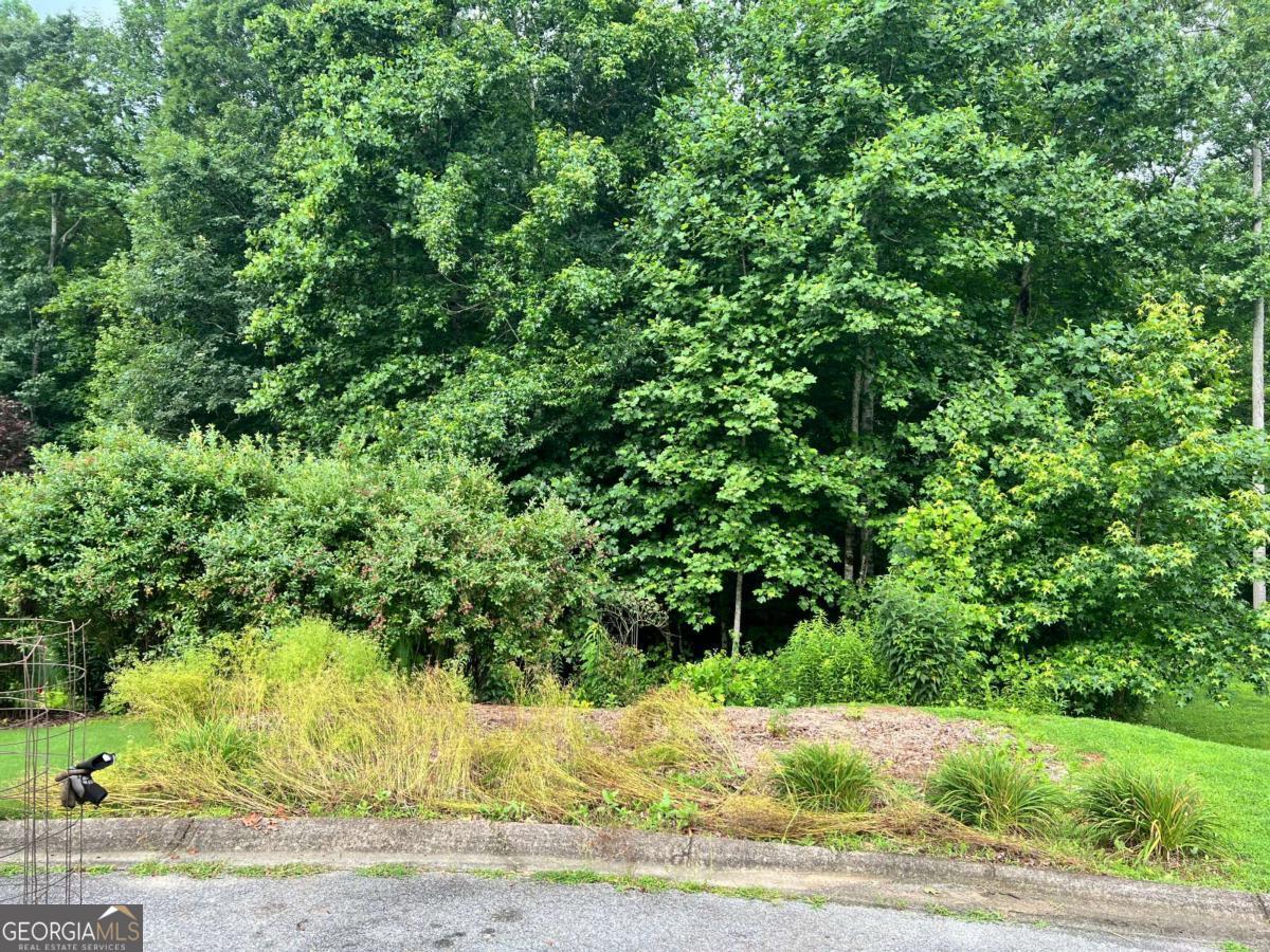 5578 Checkered Spot DR