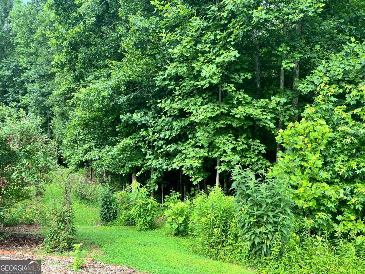 5578 Checkered Spot DR