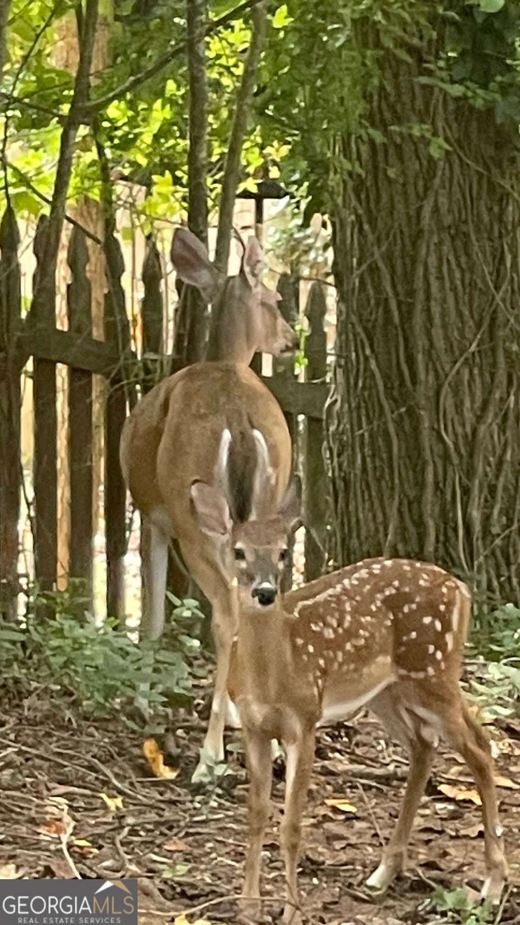 Photo of 4075 Dream Catcher Drive, Woodstock, GA 30189 (MLS # 10692189)