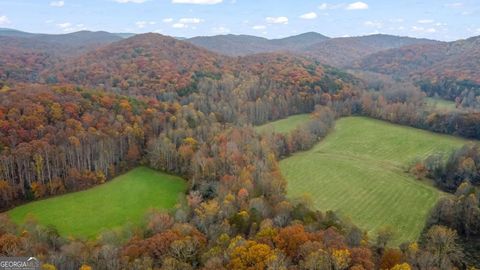 14551 E Hwy 52 Ellijay GA 30536