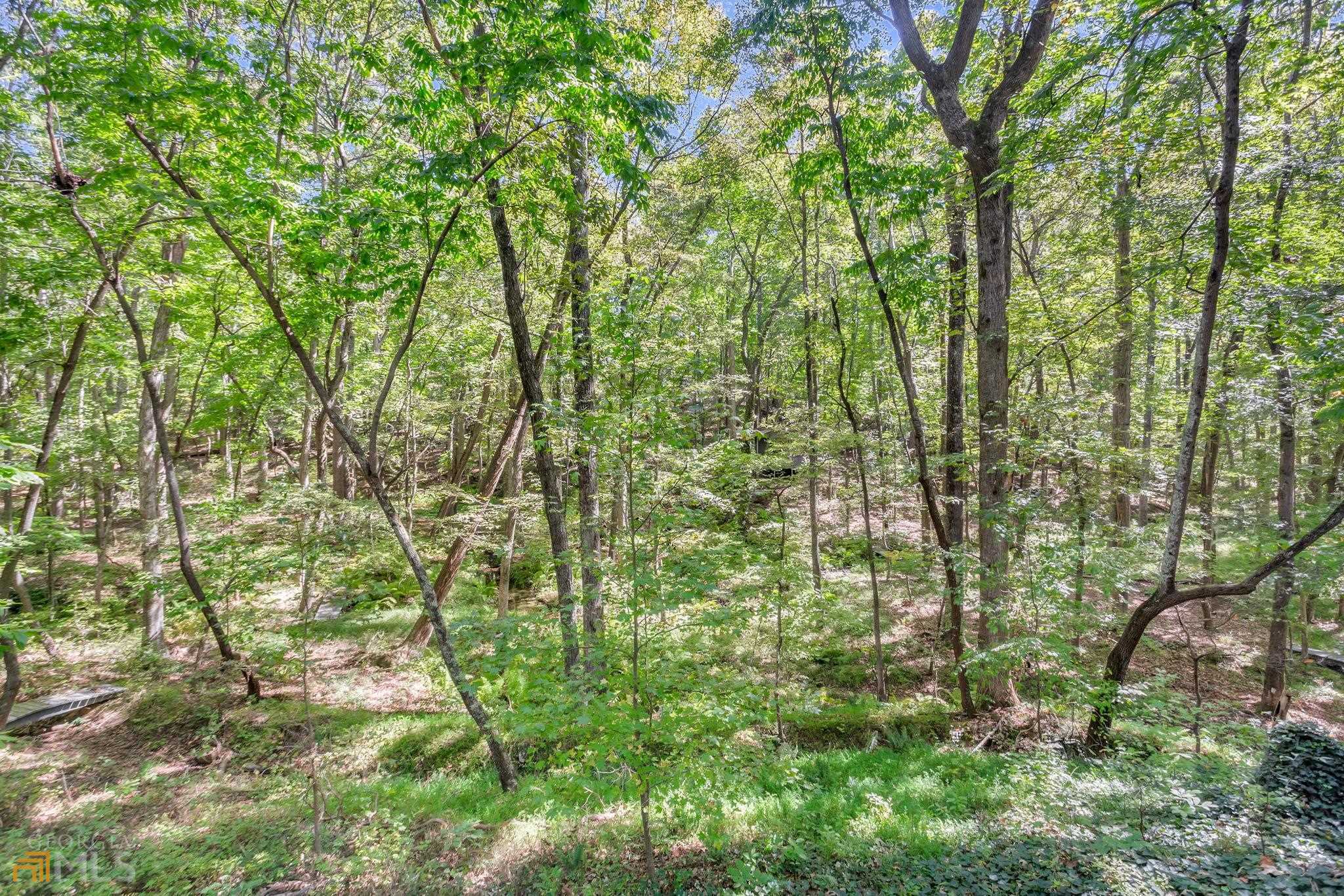 Wolfpen Wilderness - Residential