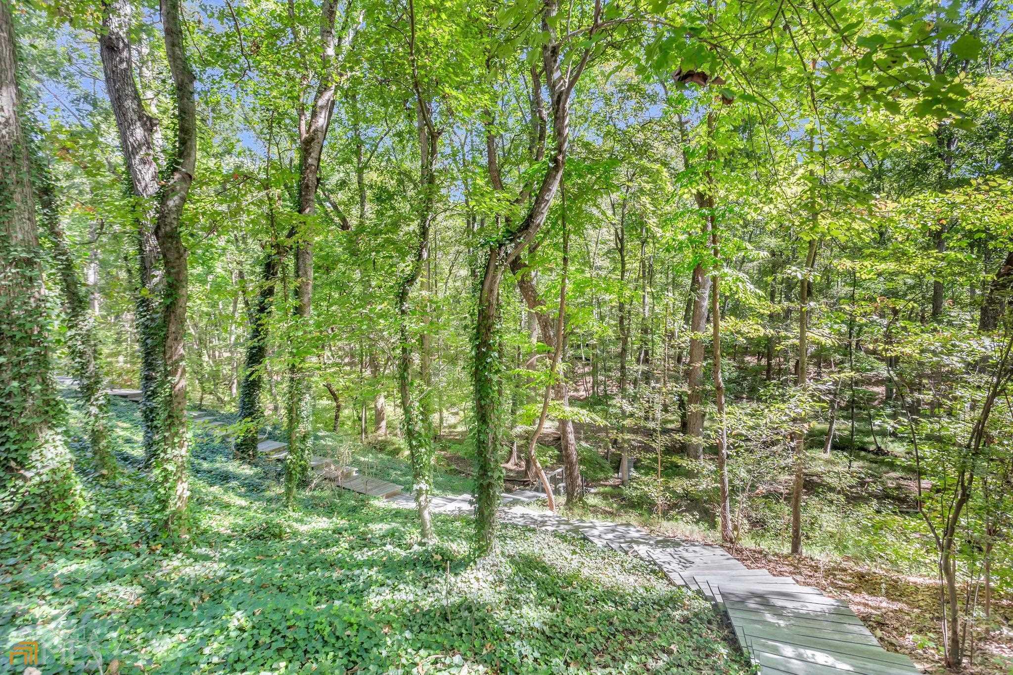 Wolfpen Wilderness - Residential
