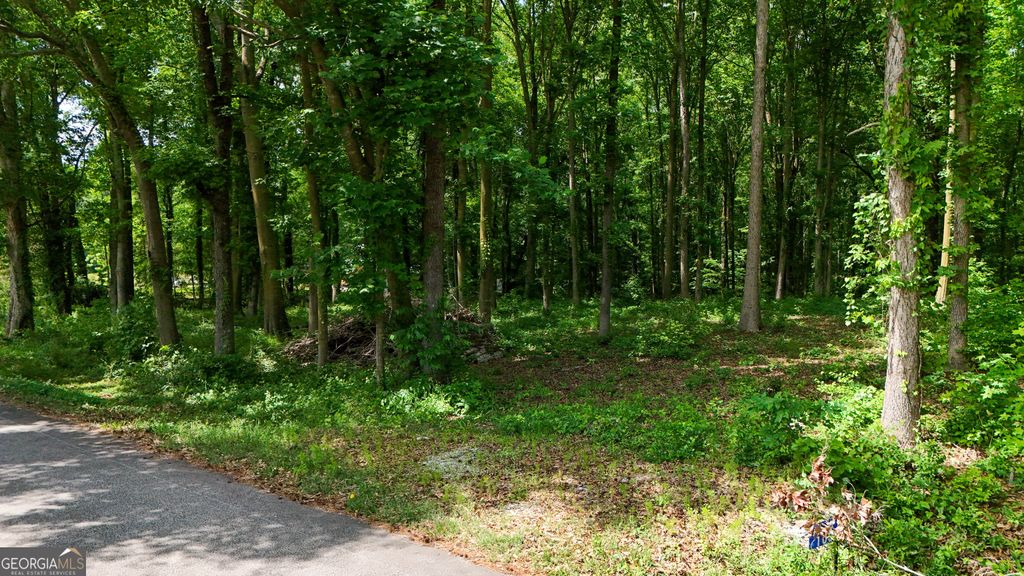 Photo of 0 Doyle Road, Bowersville, GA 30516 (MLS # 10763347)