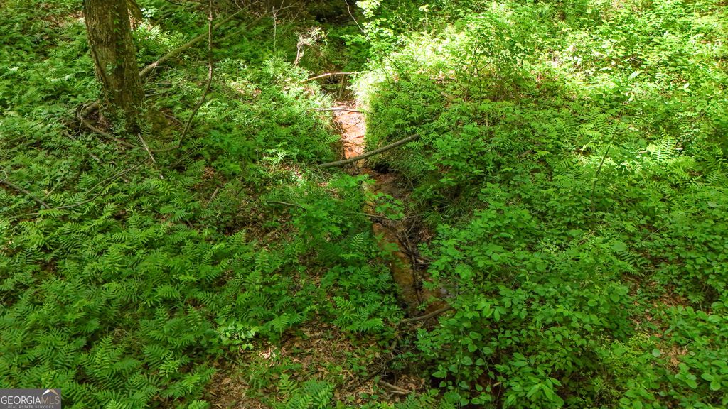 Photo of 0 Doyle Road, Bowersville, GA 30516 (MLS # 10763347)