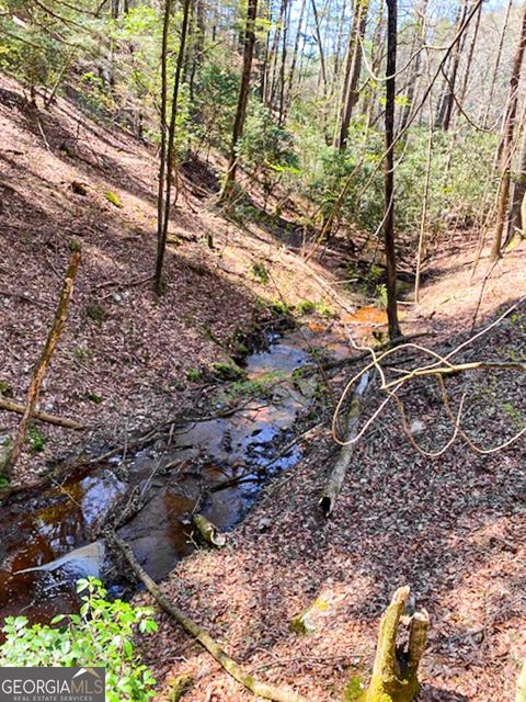 A home in Ellijay