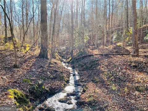 Photo of 49 Old Stamp Mill Road, Dahlonega, GA 30533 (MLS # 10669576)