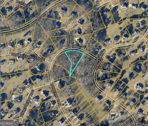 Photo of 110 Bayberry Run, Fayetteville, GA 30214 (MLS # 10713365)