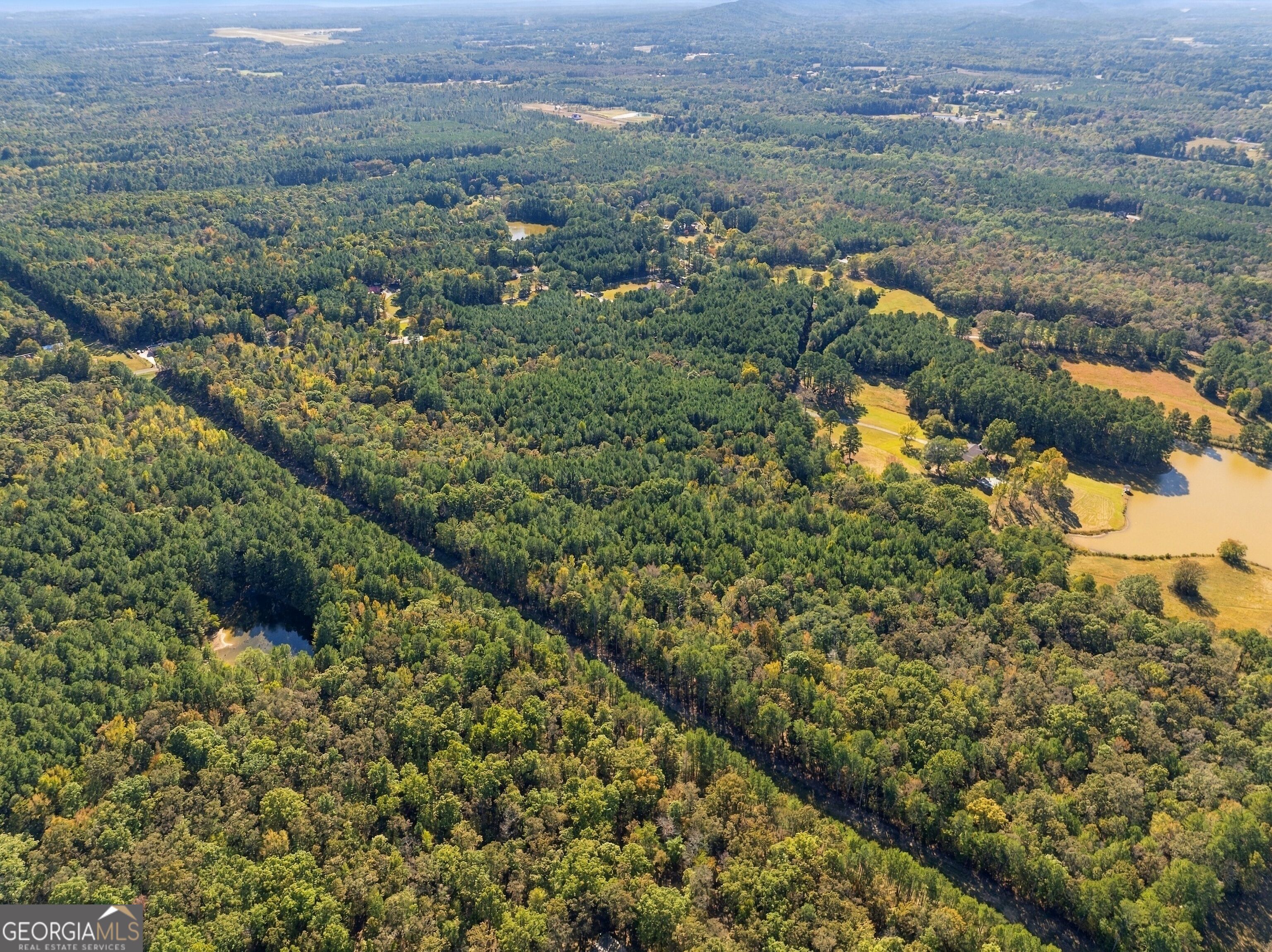 195 Armuchee TRL NE