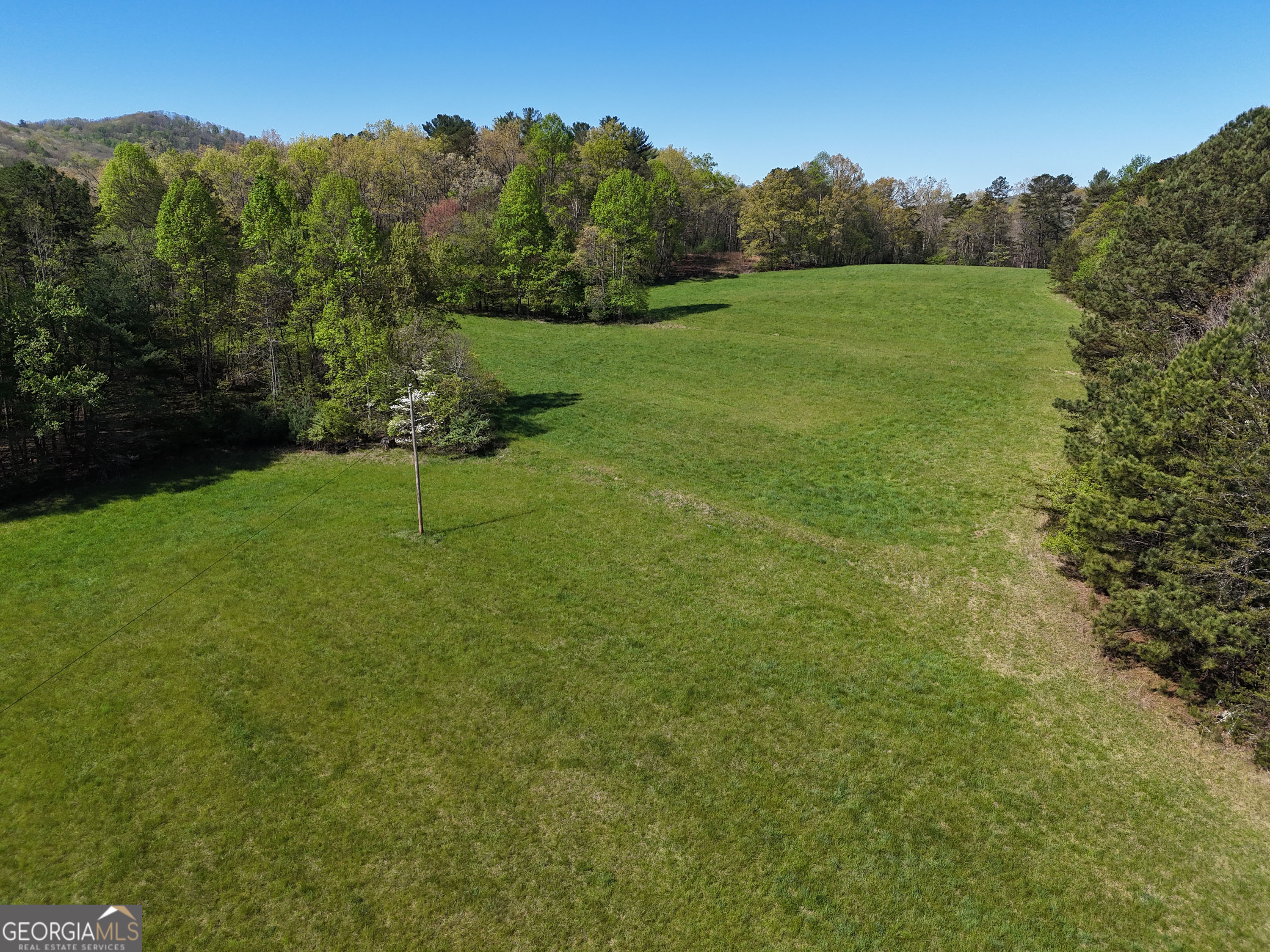 1489 Boy Scout RD