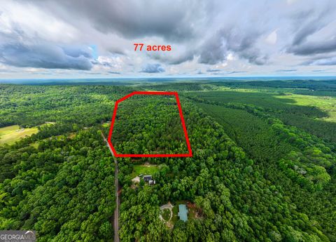 Photo of 0 South Porter Road, Shiloh, GA 31826 (MLS # 10545447)