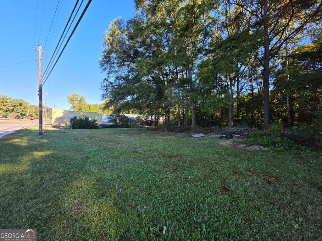 Photo of 18 E Johnson Street, Temple, GA 30179 (MLS # 10877623)