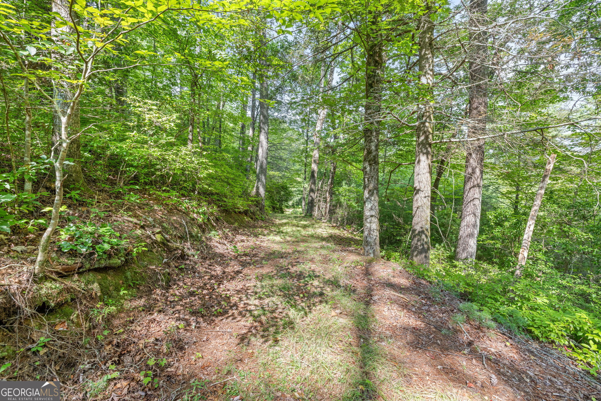 Cleveland, Georgia 30528, United States, 4 Bedrooms Bedrooms, ,2 BathroomsBathrooms,Residential,Active,47869