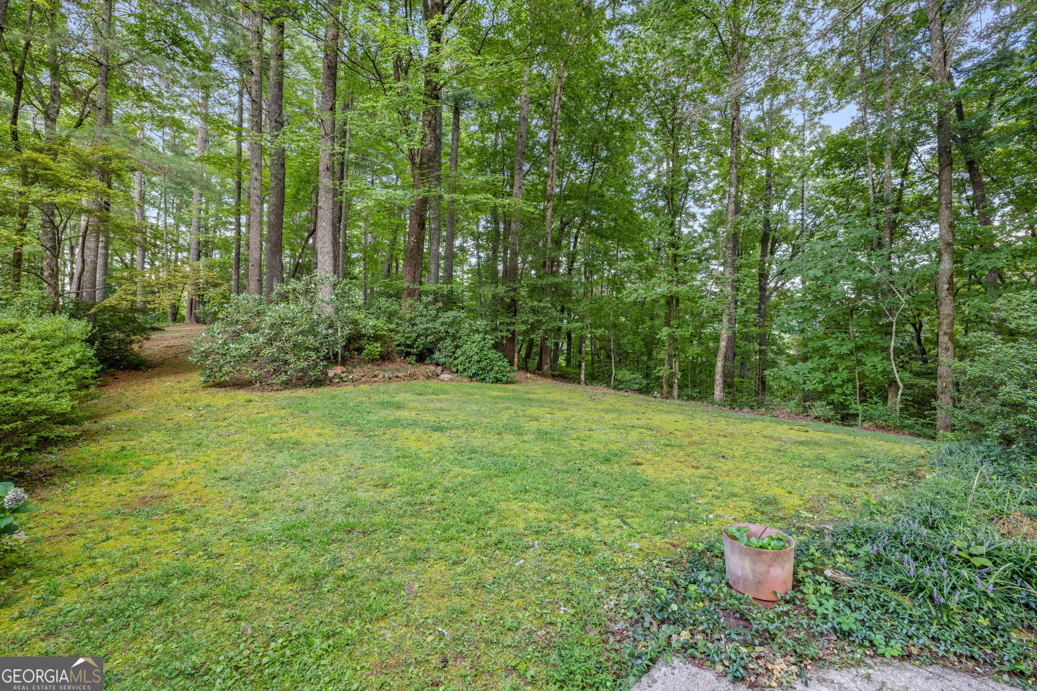 Cleveland, Georgia 30528, United States, 4 Bedrooms Bedrooms, ,2 BathroomsBathrooms,Residential,Active,47869