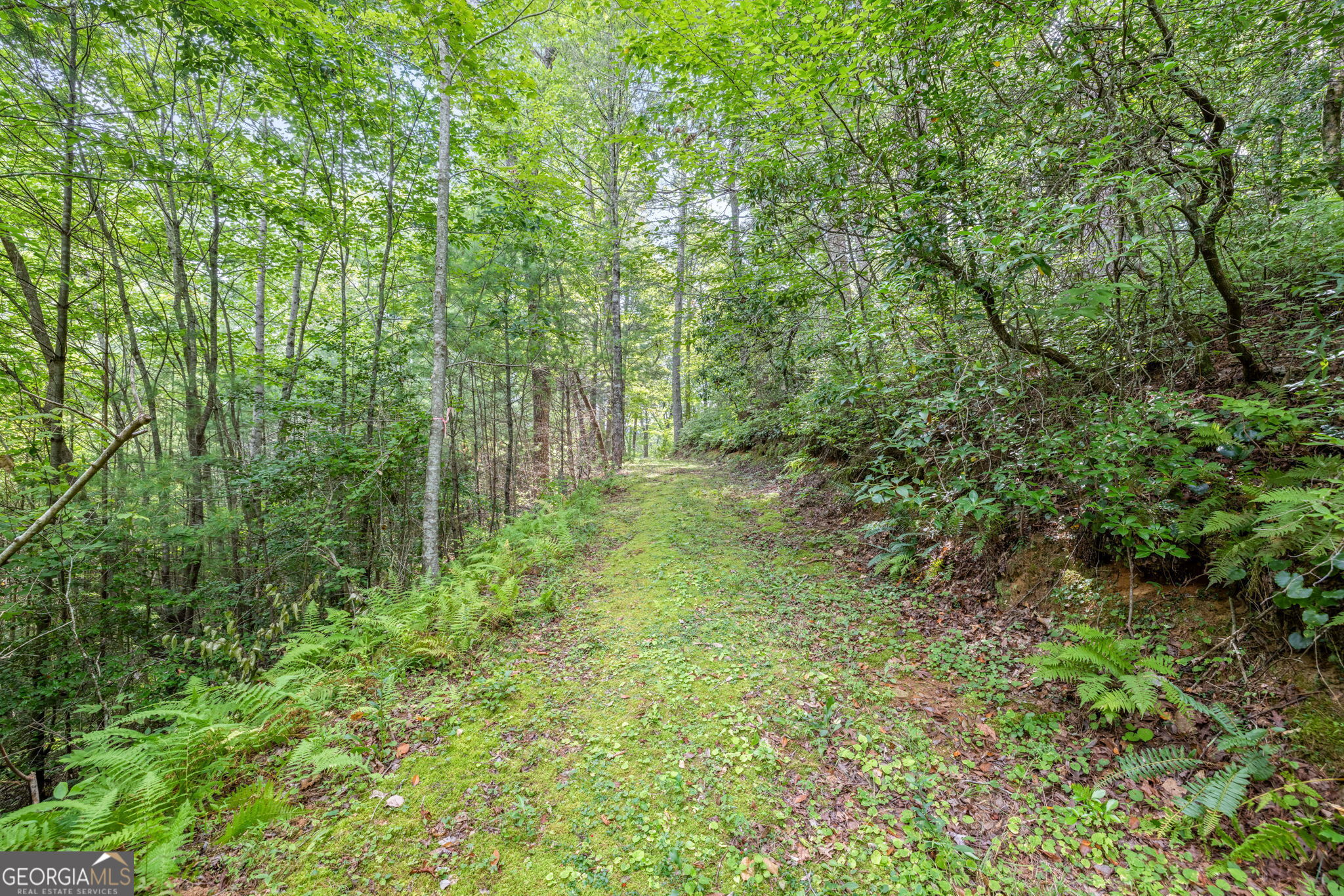 Cleveland, Georgia 30528, United States, 4 Bedrooms Bedrooms, ,2 BathroomsBathrooms,Residential,Active,47869