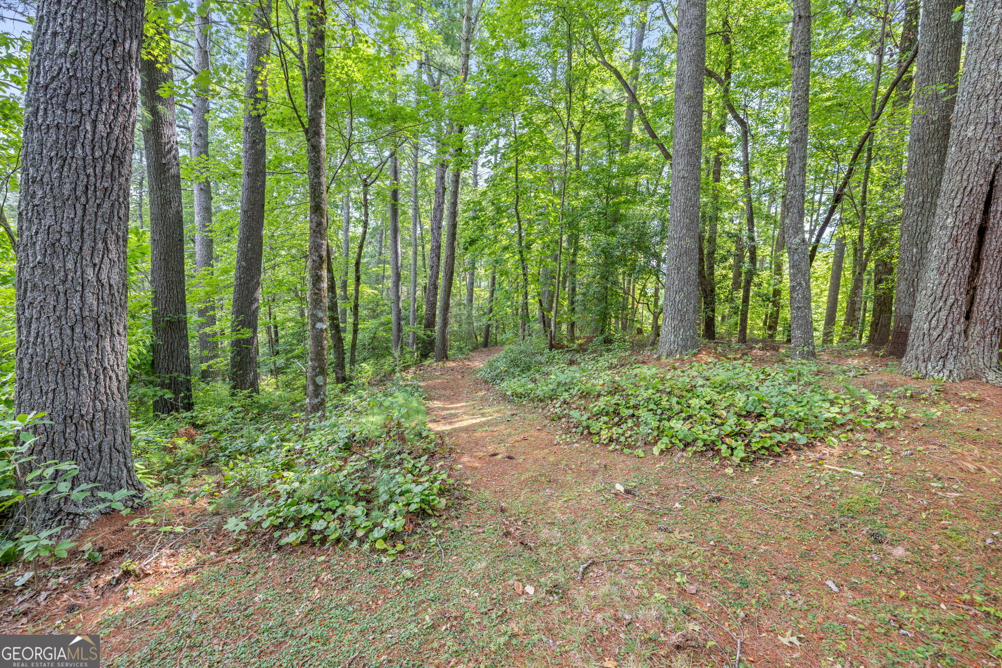 Cleveland, Georgia 30528, United States, 4 Bedrooms Bedrooms, ,2 BathroomsBathrooms,Residential,Active,47869