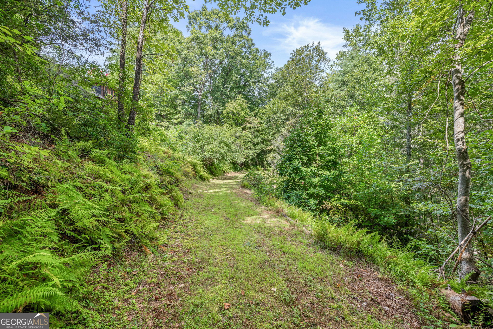 Cleveland, Georgia 30528, United States, 4 Bedrooms Bedrooms, ,2 BathroomsBathrooms,Residential,Active,47869