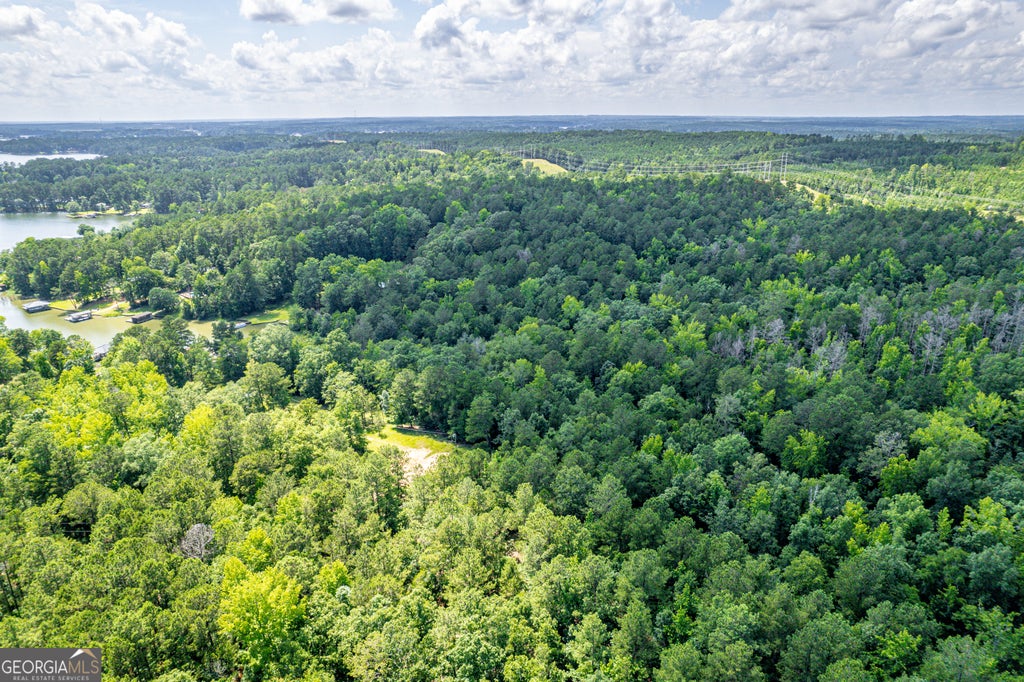 Photo of 0 Pine Lake Drive, Sparta, GA 31087 (MLS # 10818202)