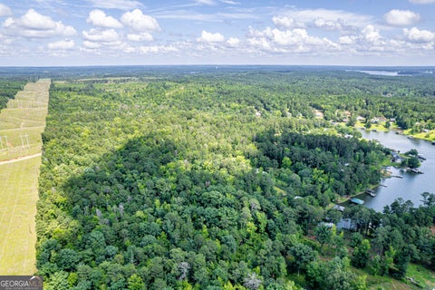 Photo of 0 Pine Lake Drive, Sparta, GA 31087 (MLS # 10818202)