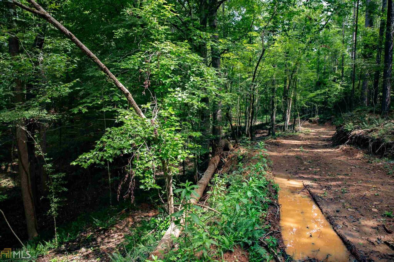 Mallard Ridge - Land