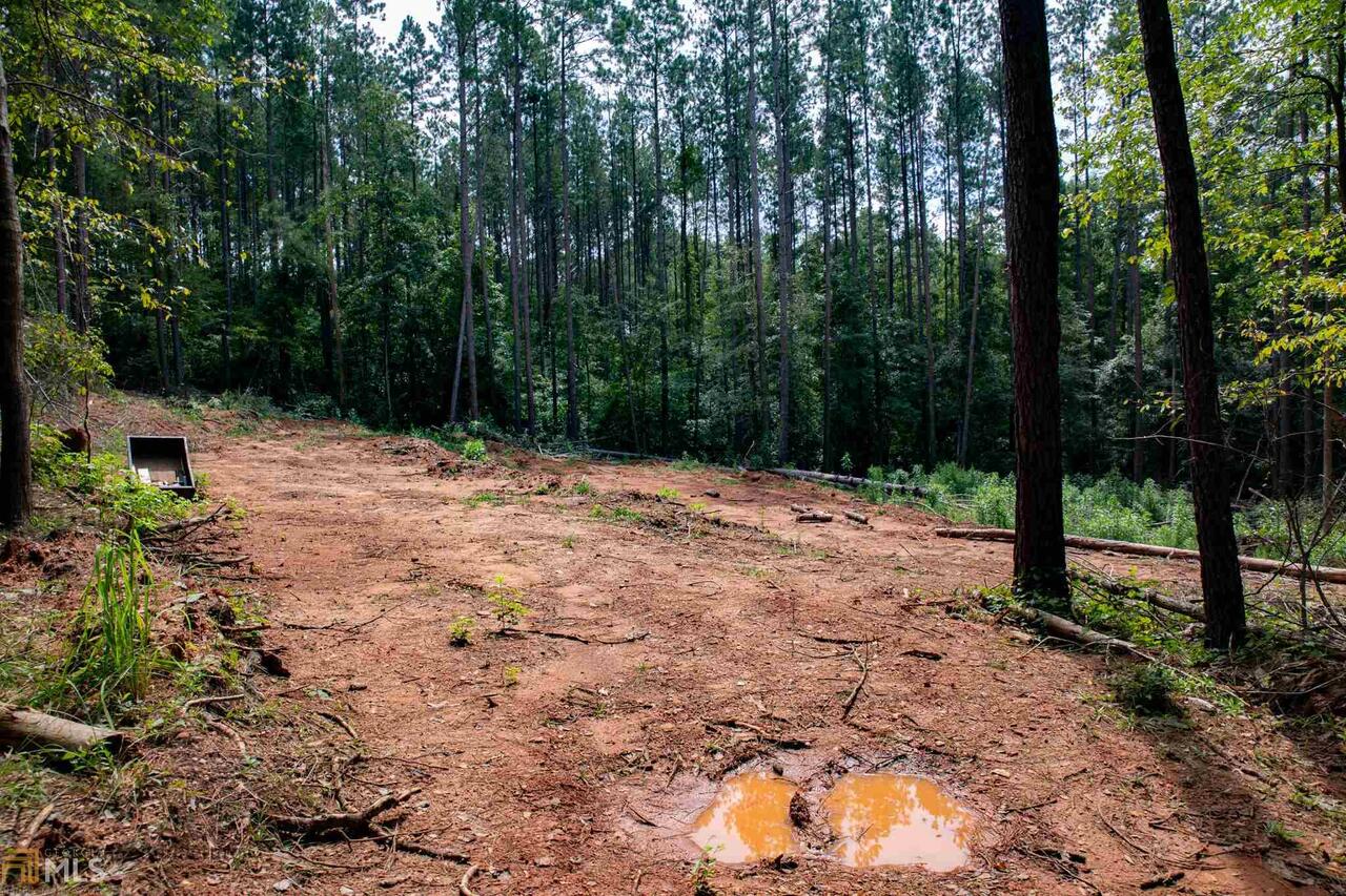 Mallard Ridge - Land
