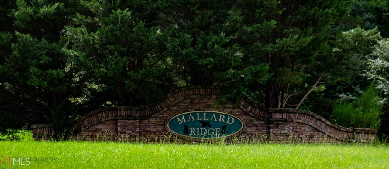 Mallard Ridge - Land