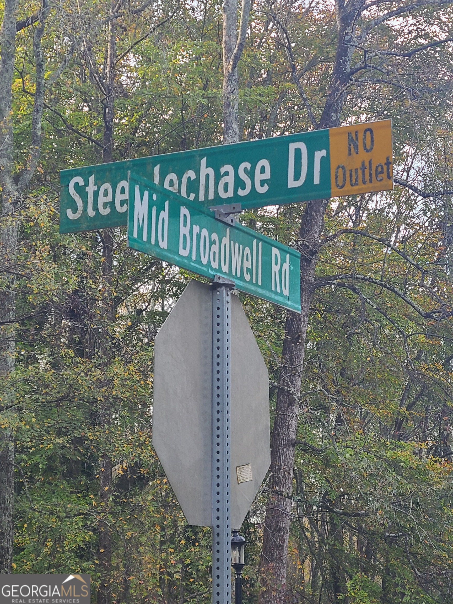 Steeplechase - Residential