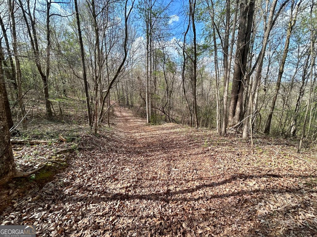 Photo of 631 Jim Grizzle Road, Royston, GA 30662 (MLS # 10720372)