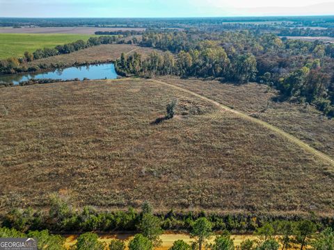 Photo of 0 William Avera Road, Morgan, GA 39866 (MLS # 10658801)