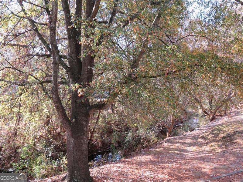 311 Peachtree Hills AVE NE 6A