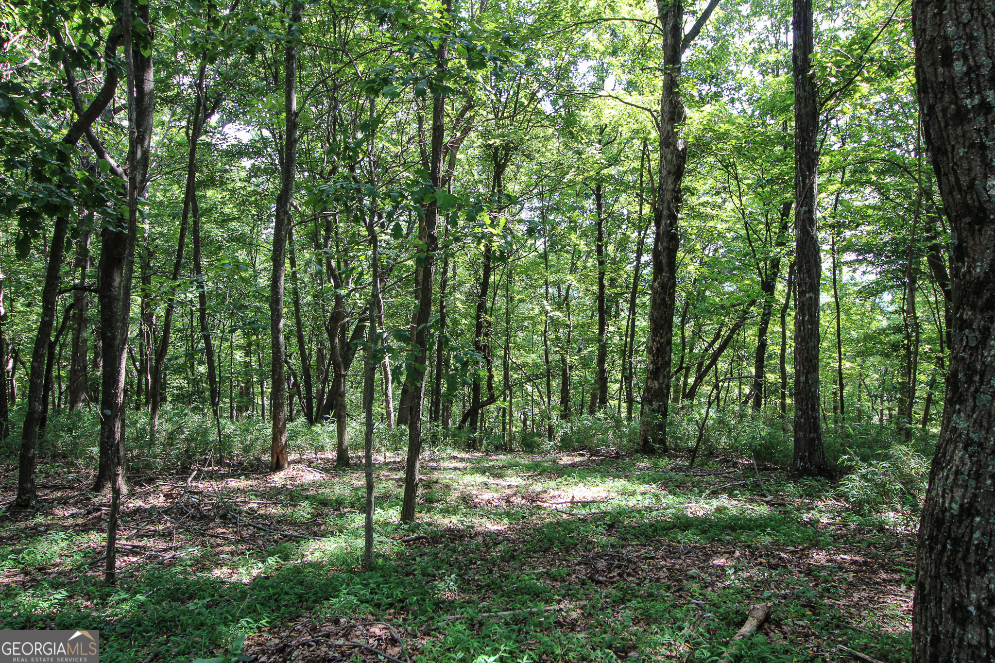0.75 acre buildable lot on Disharoon Mountain with spectacular northeastward views, perfect for a daylight basement home! Experience all that a mountain life at Big Canoe has to offer: 27 holes of championship golf and a pro shop; 5 beautiful lakes for fishing and water sports (pontoons, paddleboards and paddleboats, kayaks, canoes, rock slides, and inflatable water park); zero-entry saline-system swimming pool and roped off lake area for swimming; 25 miles of hiking trails; outdoor tennis and pickleball courts; wellness center with 75-ft heated lap pool, raquetball/sqaush & indoor tennis courts, 13,000 sf workout room with premier exercise equipment, whirlpool & sauna, personal trainers & exercise classes, & more. There are also various social clubs, children's activities, and community events. For more information on Big Canoe, visit https://www.bigcanoepoa.org. Buyers must be accompanied by an agent.
