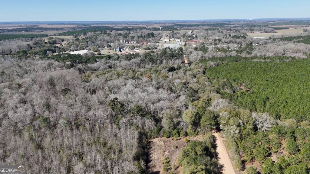 Photo of 0 Highway 90, Byromville, GA 31007 (MLS # 10699617)