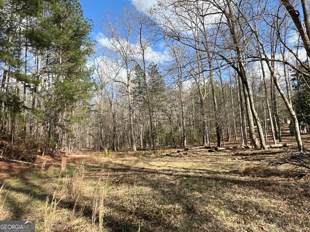 Photo of 4360 Pool Road, Winston, GA 30187 (MLS # 10708353)