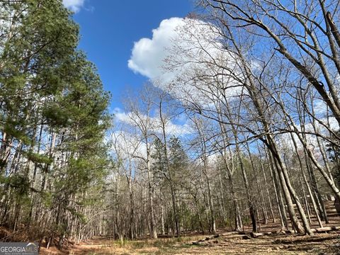 Photo of 4360 Pool Road, Winston, GA 30187 (MLS # 10708353)