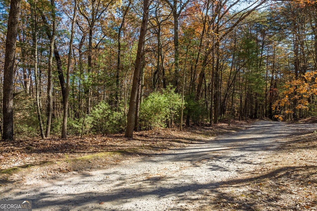 Photo of 1 Old Anderson Creek WAY, Ellijay, GA 30536 (MLS # 10852243)