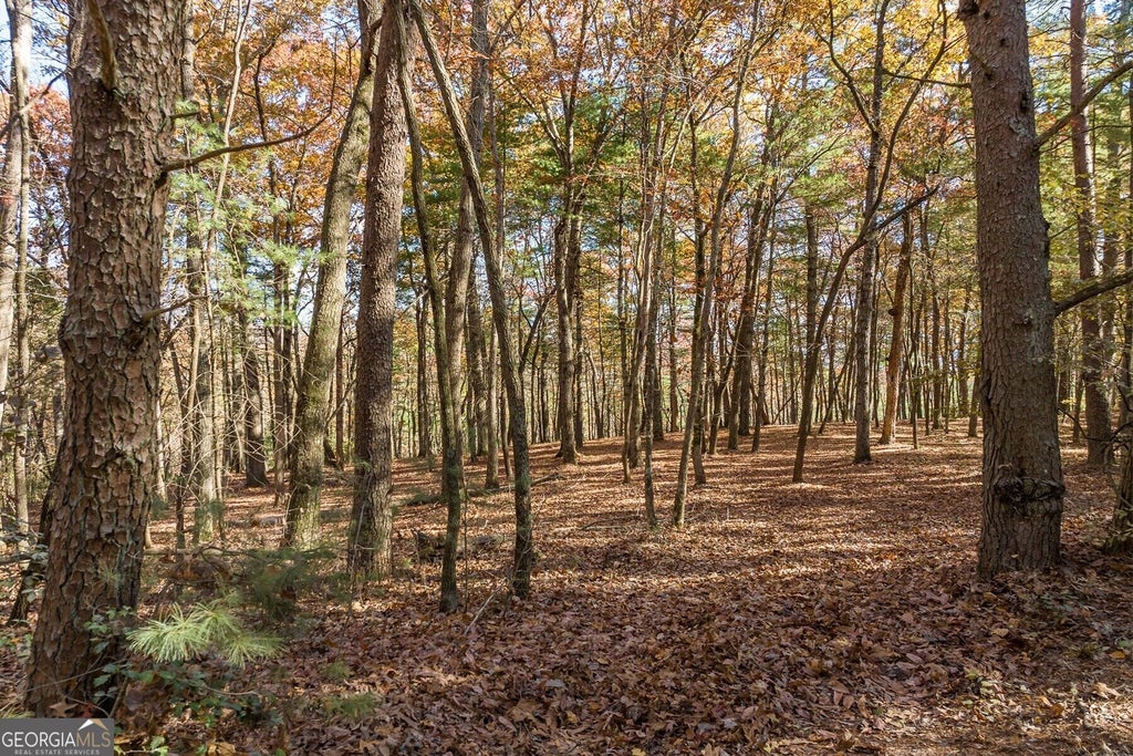 Photo of 1 Old Anderson Creek WAY, Ellijay, GA 30536 (MLS # 10852243)