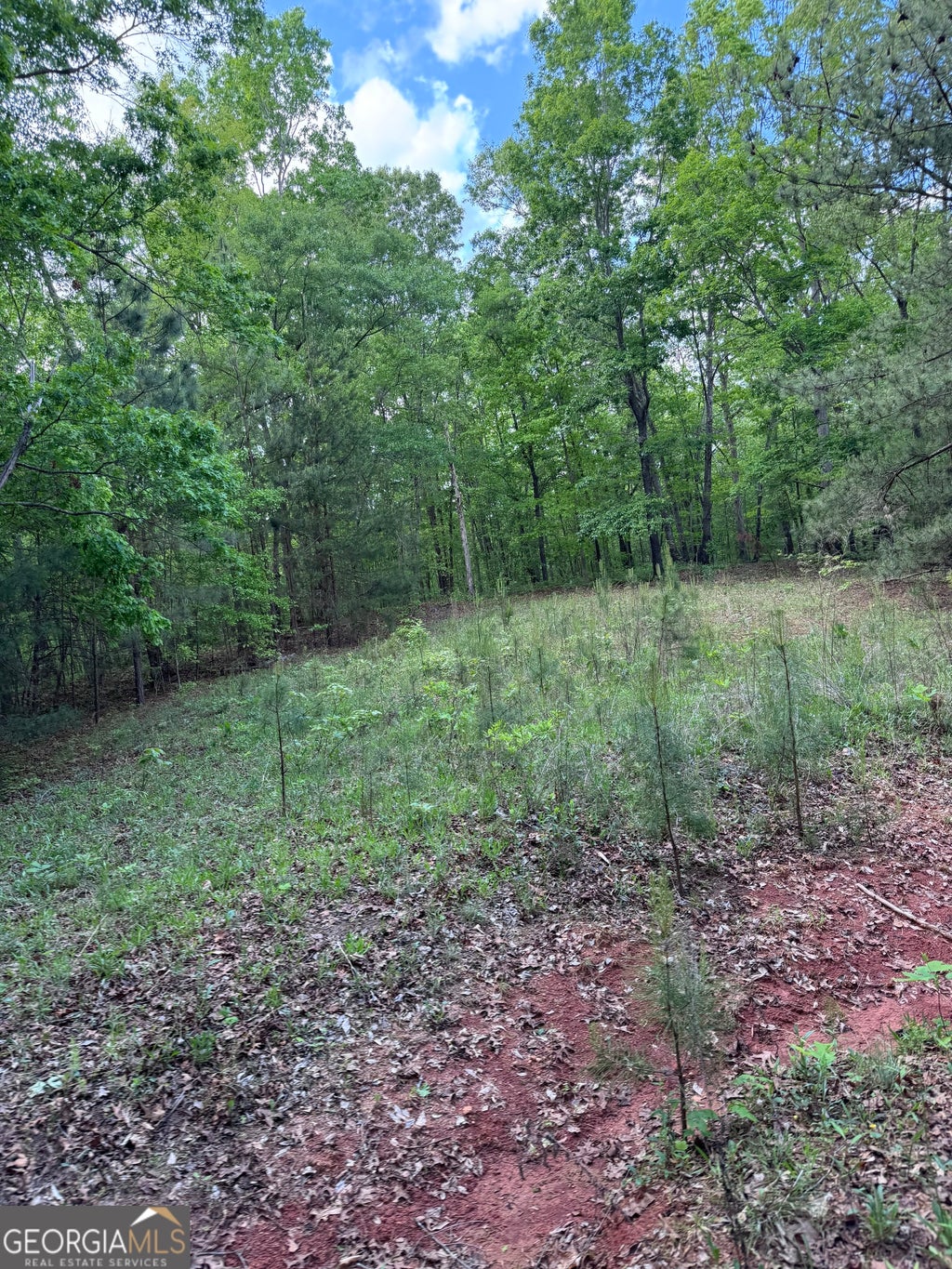 Photo of 637 Brookdale Road, Toccoa, GA 30577 (MLS # 10289476)