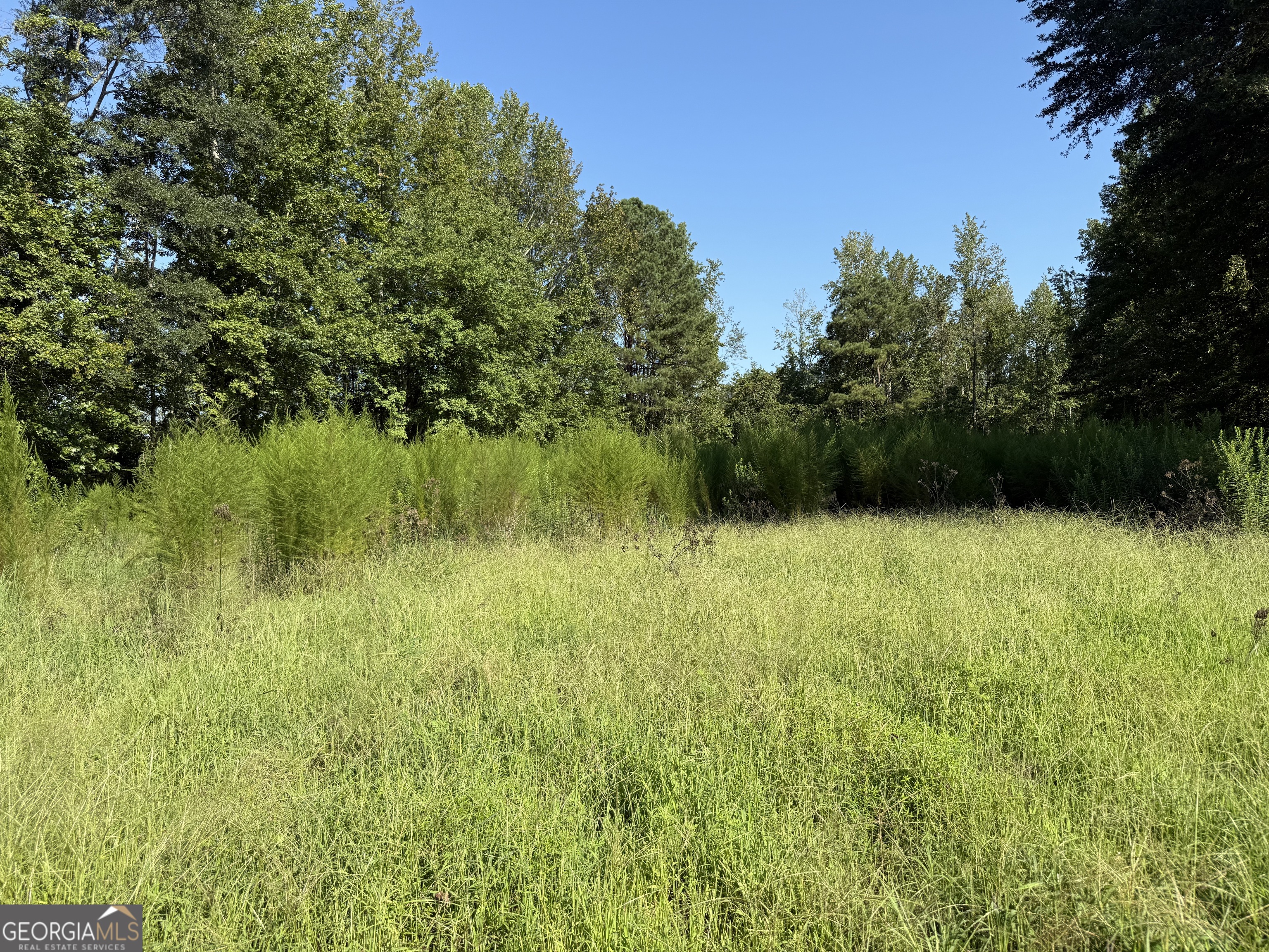 0 N Ga Highway 113