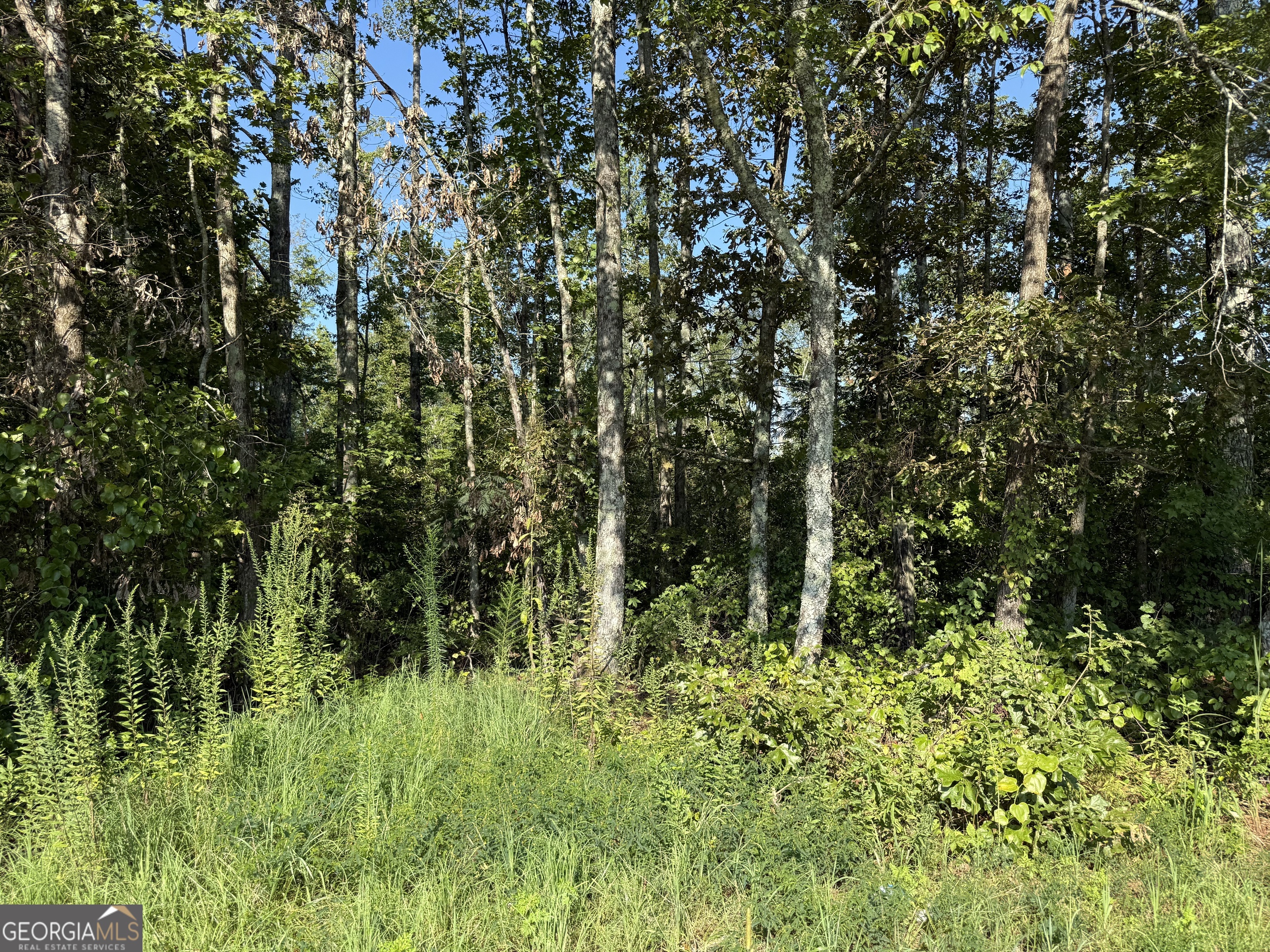 0 N Ga Highway 113