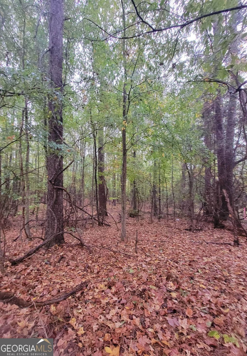 Photo of 14 Lamars Mill Road, Flovilla, GA 30216 (MLS # 10772852)