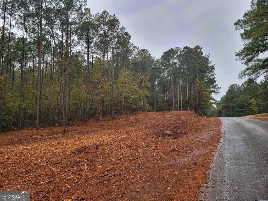 Photo of 14 Lamars Mill Road, Flovilla, GA 30216 (MLS # 10772852)