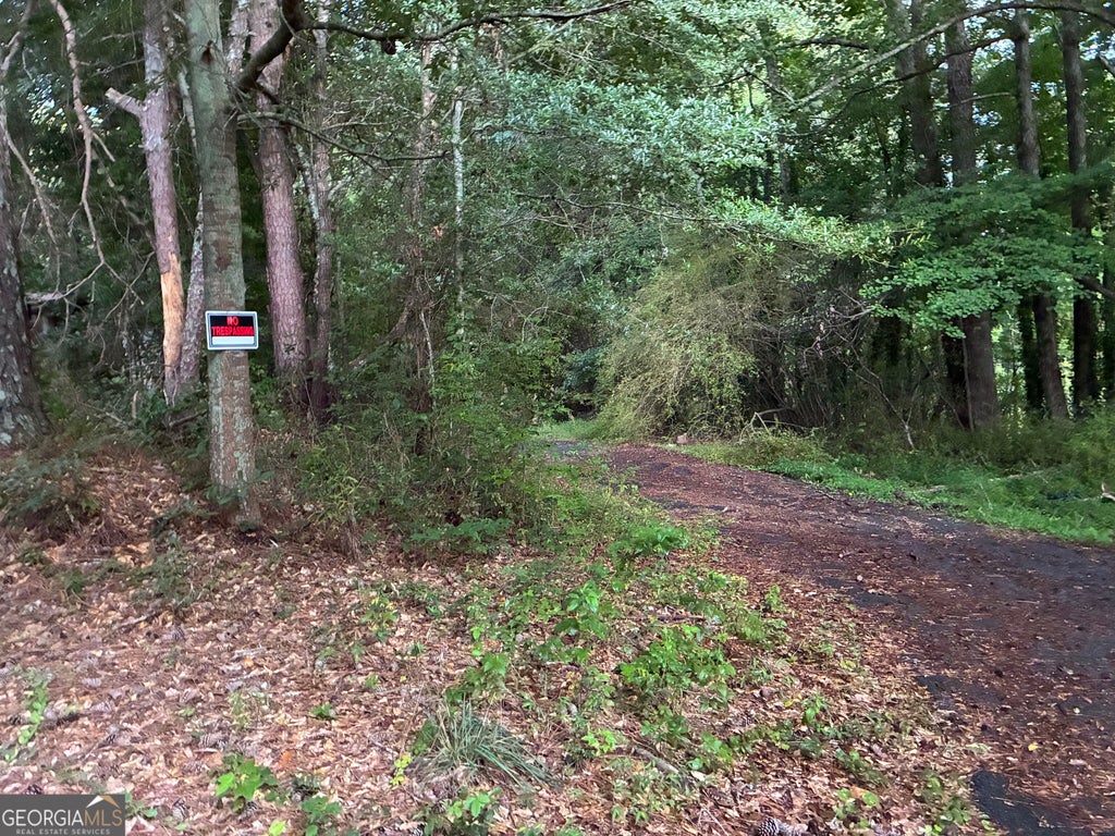 Photo of 5420 Cantrell Road, Dawsonville, GA 30534 (MLS # 10821948)